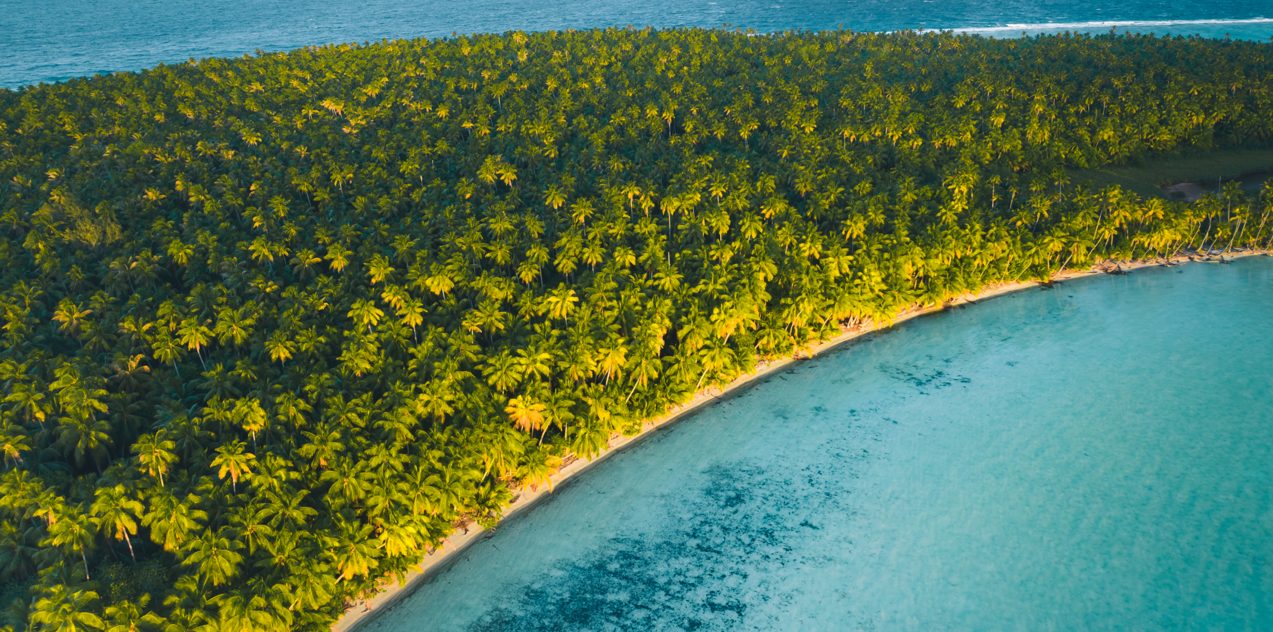 Drone shot of palm trees and blue water around our private island retreat