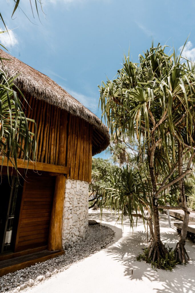 Thatched roof building among tropical trees at our Tahiti resort