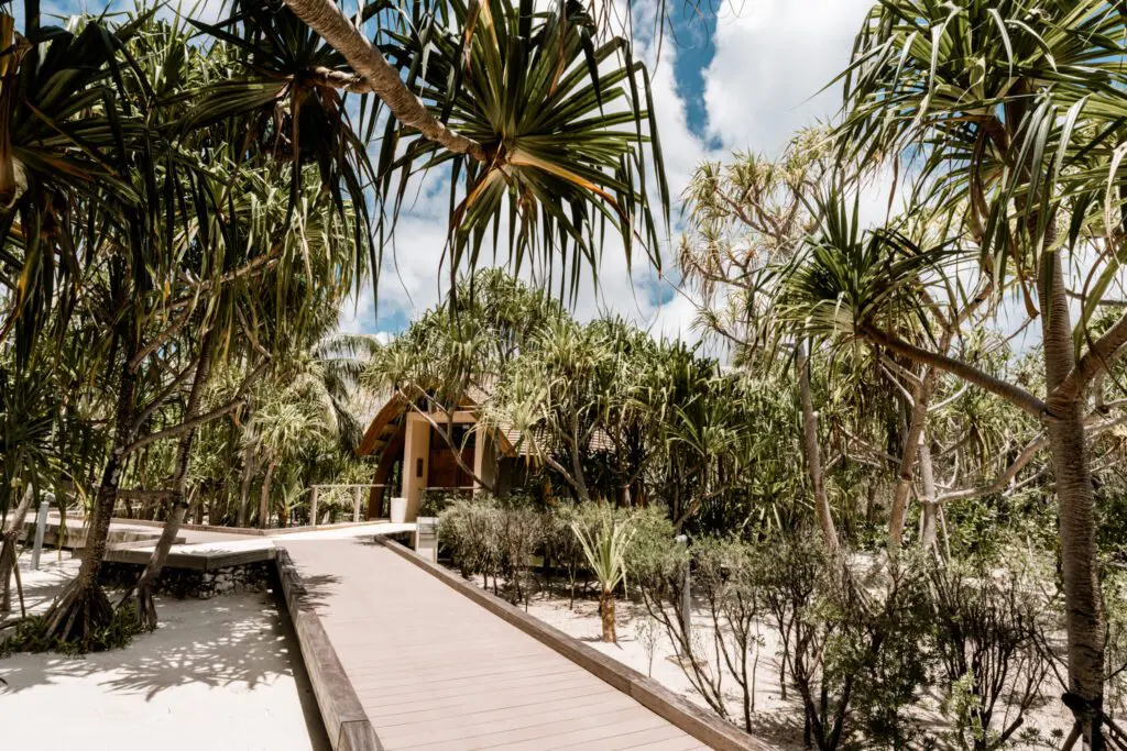 Secluded wooden walkway leading to our French Polynesian spa