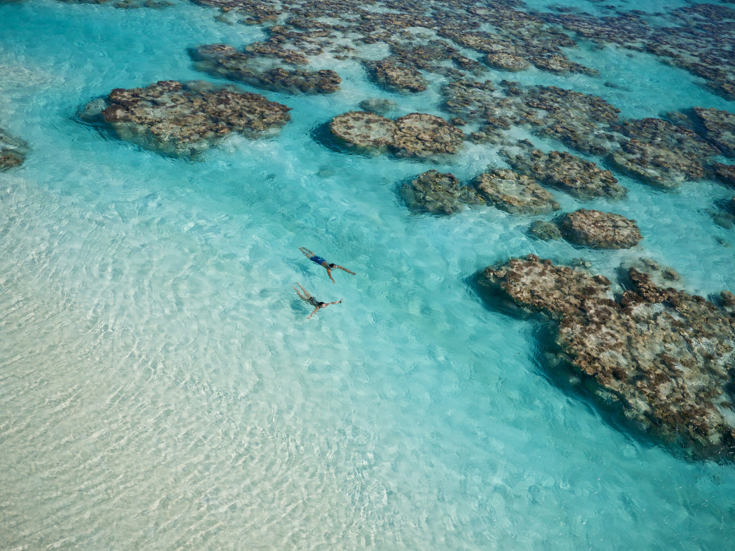 Aerial view of two people swimming in the clear water around Tetiaroa