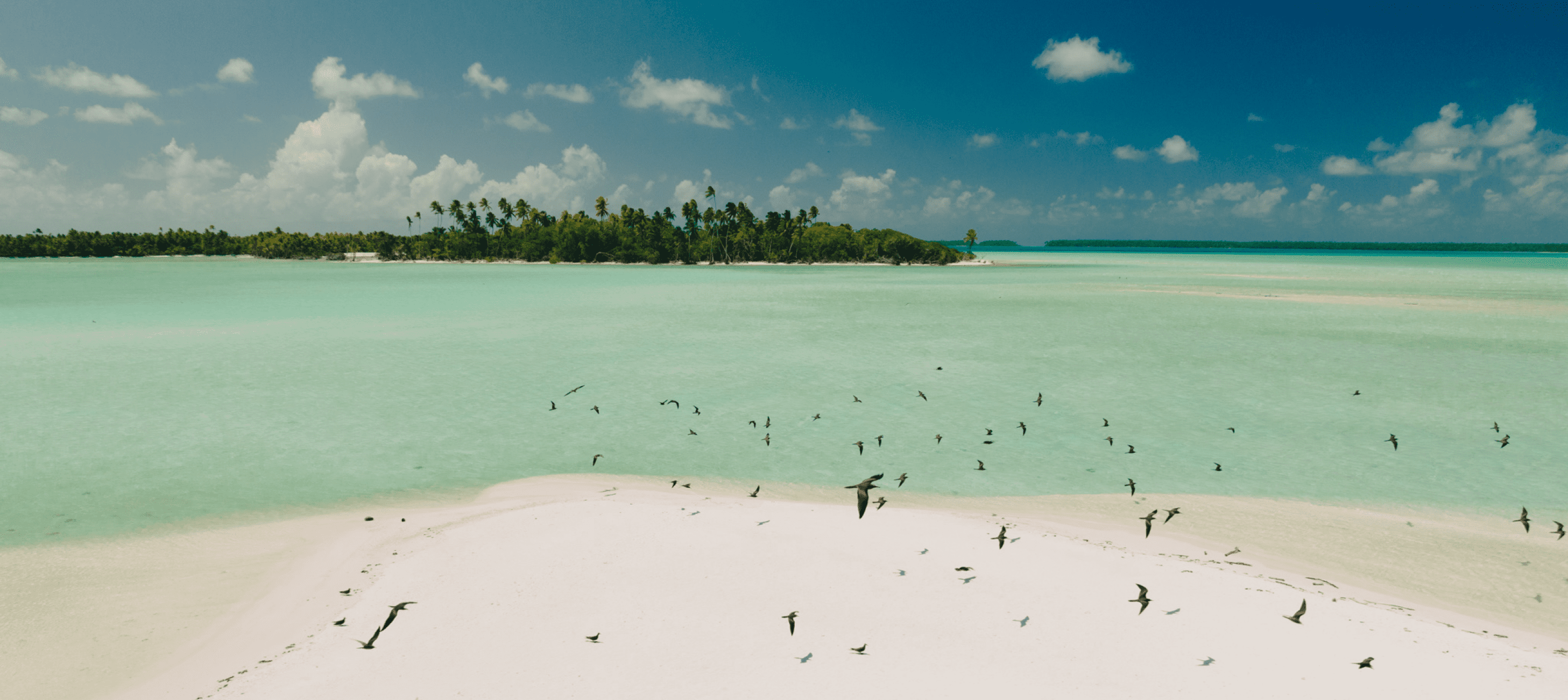 Tetiaroa Atoll, The Brando Resort