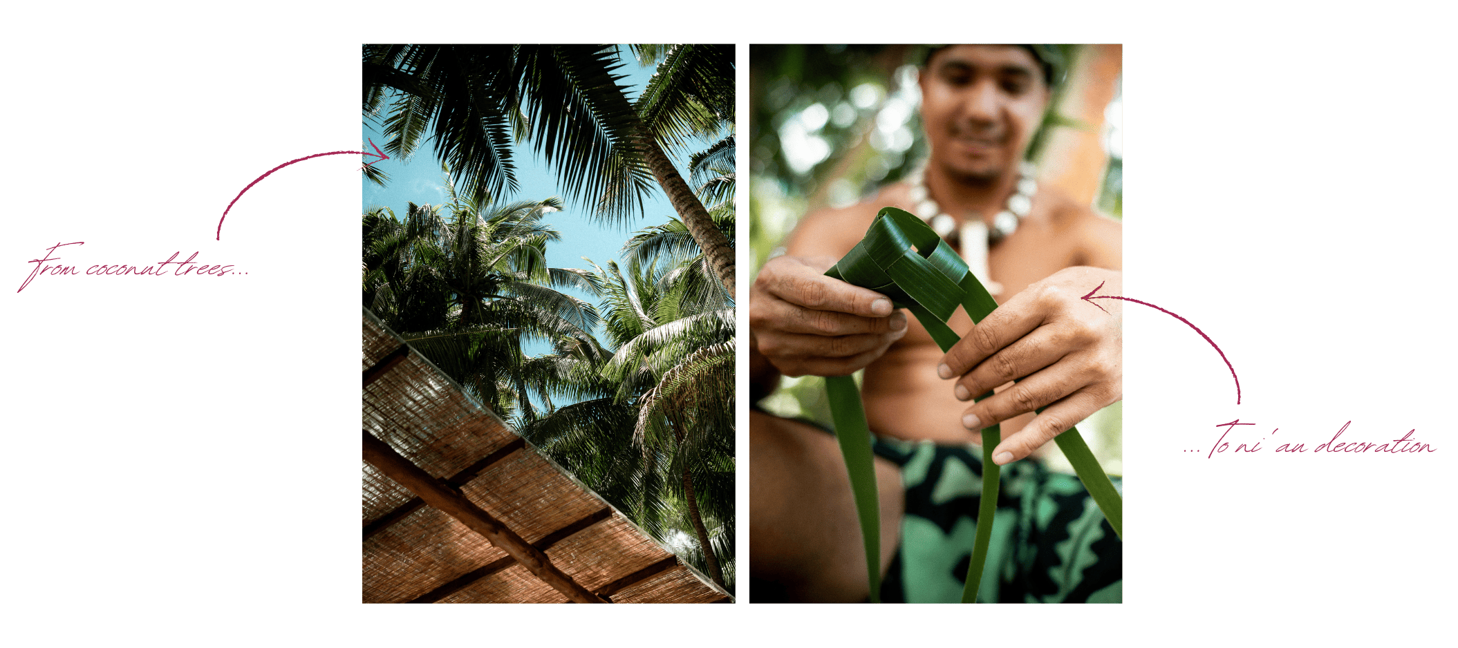 A view of lush coconut trees and a Polynesian artisan weaving coconut fronds into traditional patterns on Tetiaroa Island.