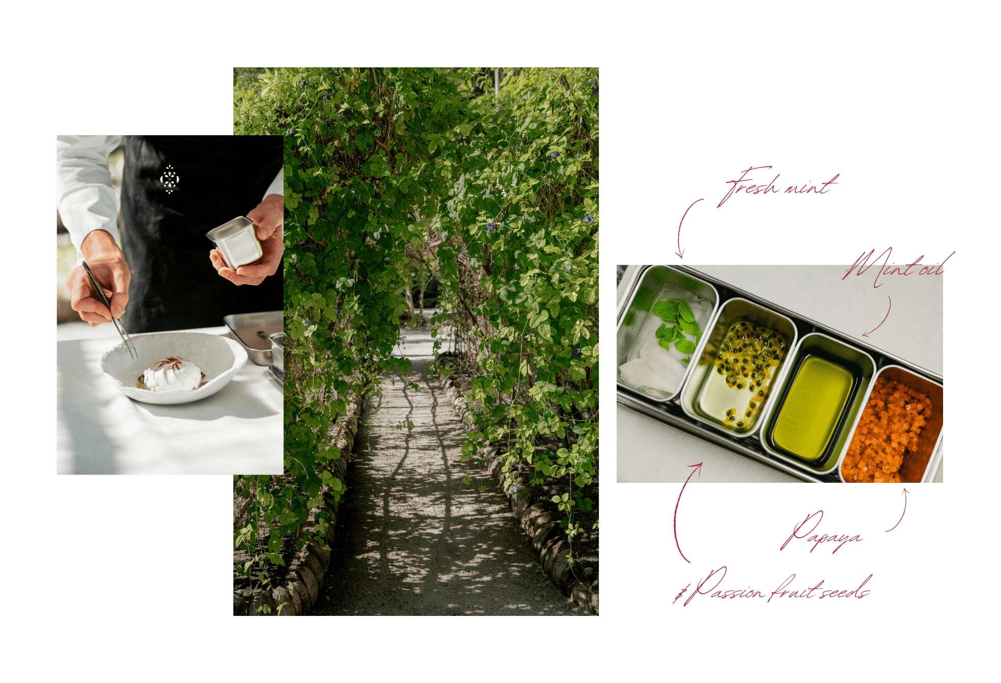 Chef preparing a dessert, a lush garden path, and fresh tropical ingredients like mint, papaya, and passion fruit seeds at The Brando.