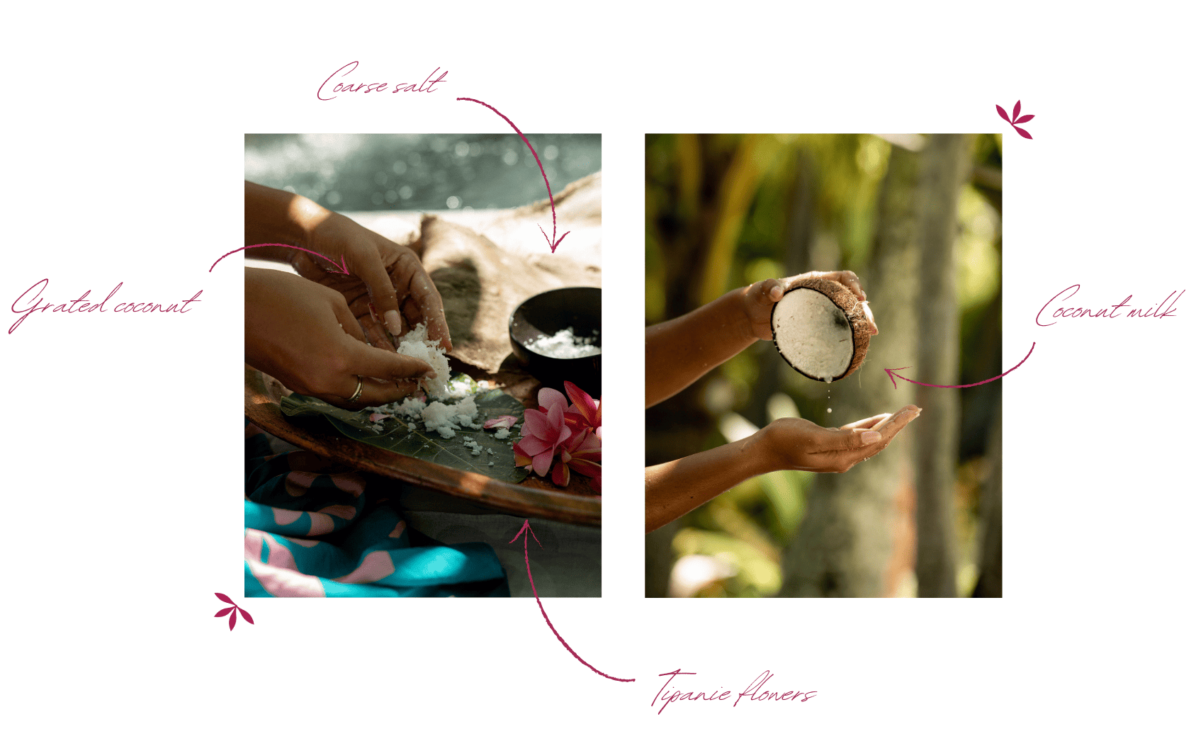 Hands grating coconut with coarse salt and extracting coconut milk, surrounded by tropical flowers in a Polynesian setting.