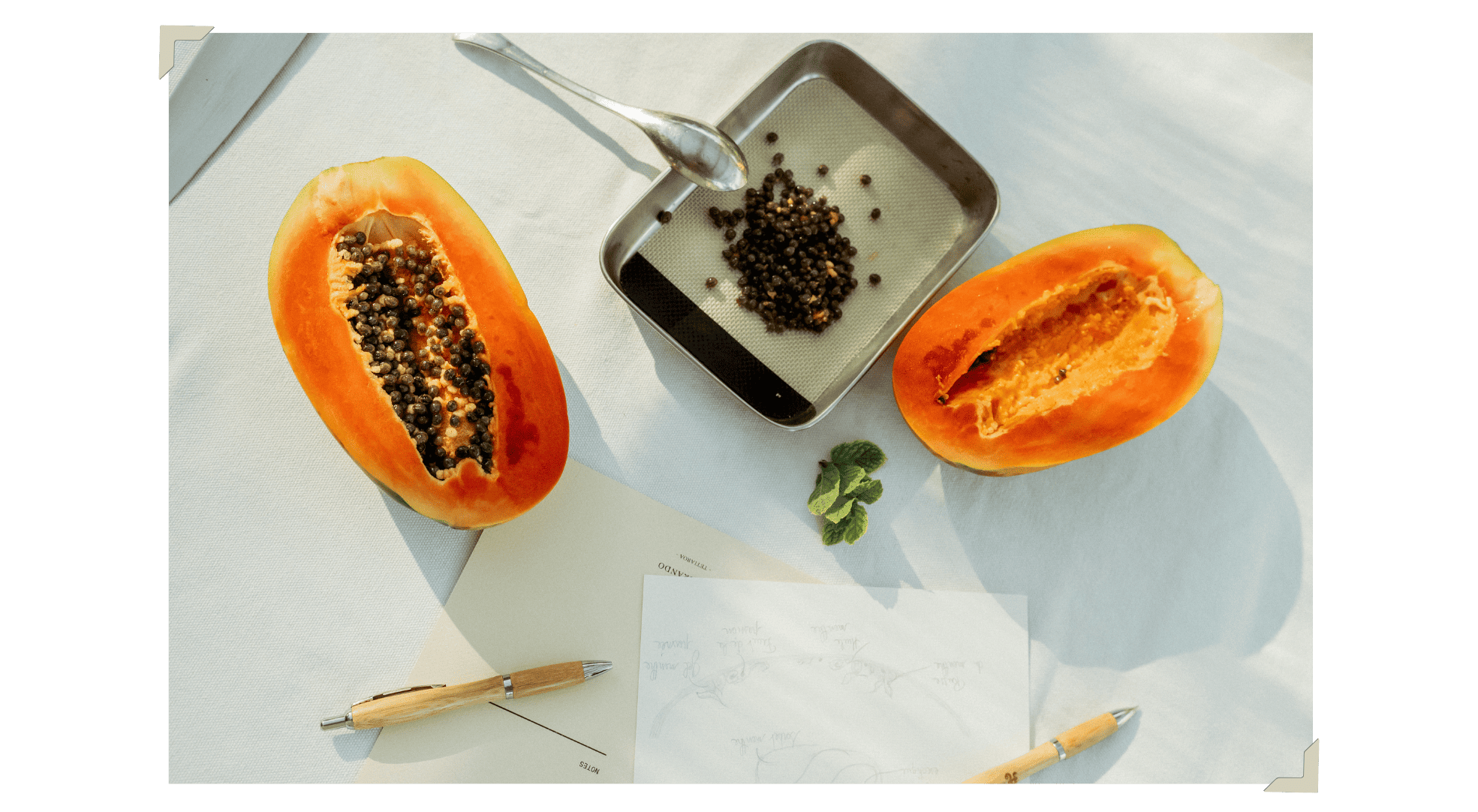 Fresh papaya halves, papaya seeds, and mint leaves arranged on a table with notes and pens.