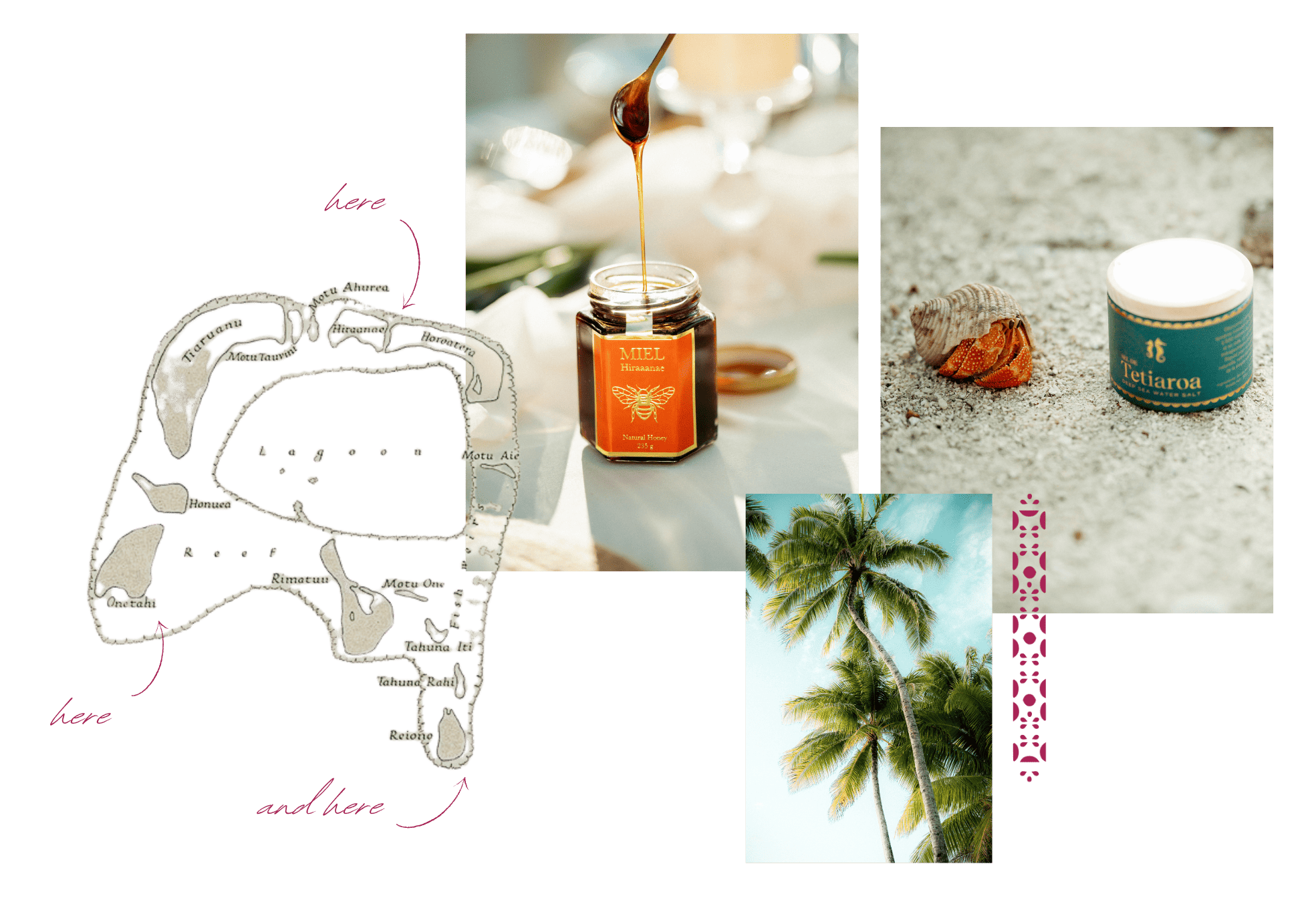 Tetiaroa atoll map, natural honey, gourmet sea salt, and iconic palm trees.