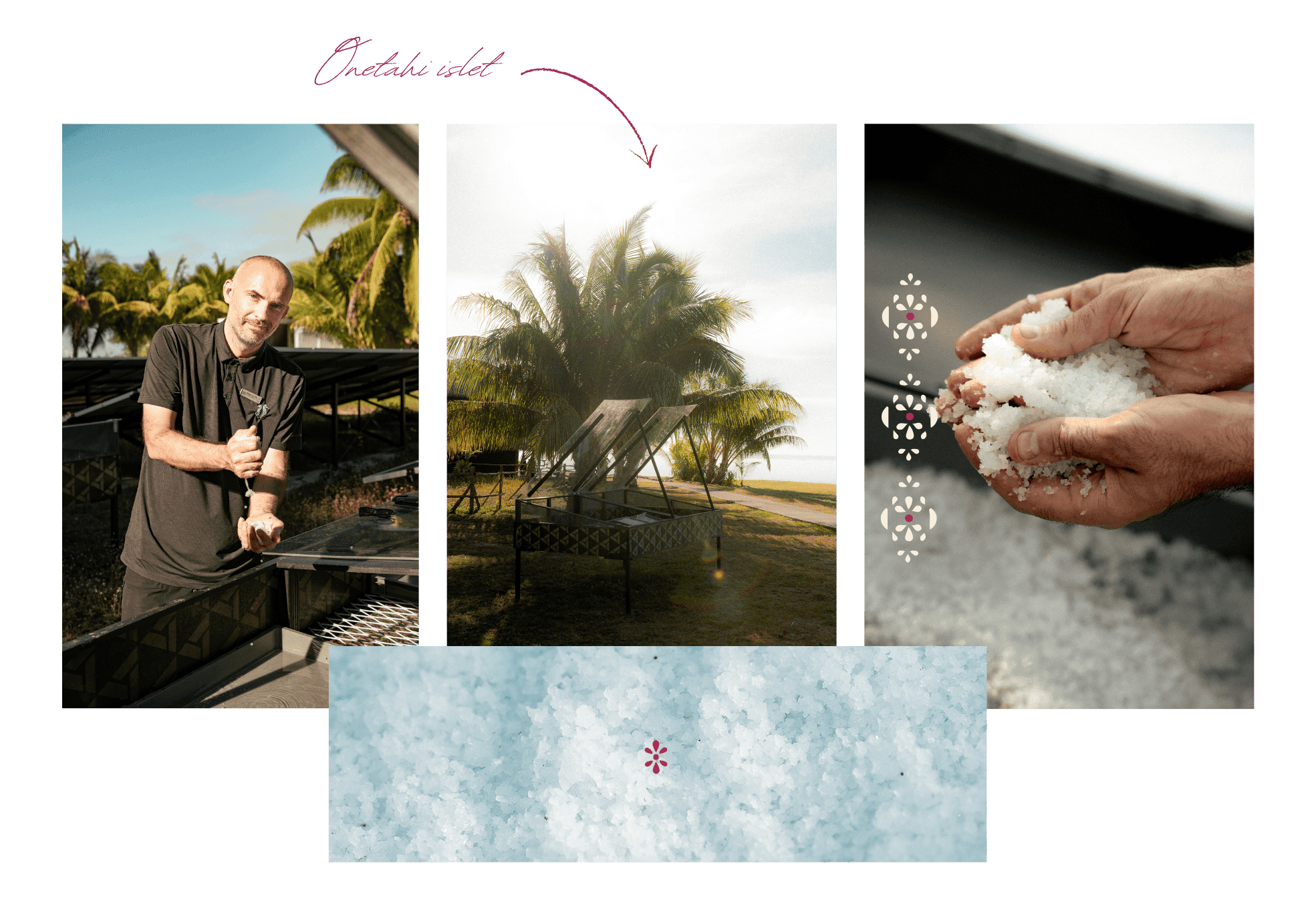 Solar sea salt production on Onetahi island, Tetiaroa, featuring a craftsman and salt harvesting techniques under palm trees.