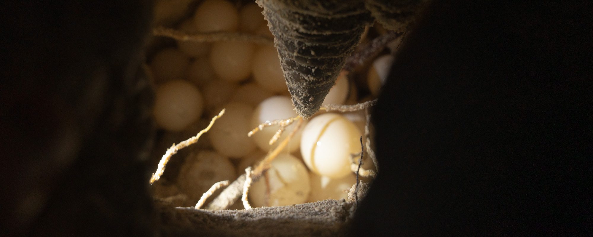 </noscript>The Journey Starts Here” />                                </a>                                <a href=