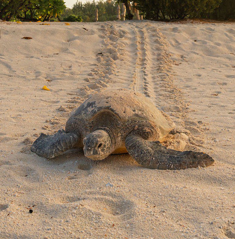 The Journey Starts Here