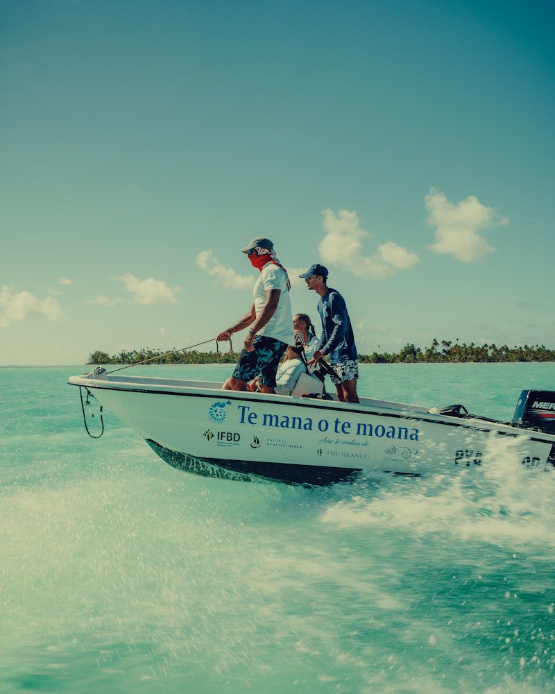 Guardians of the Cycle