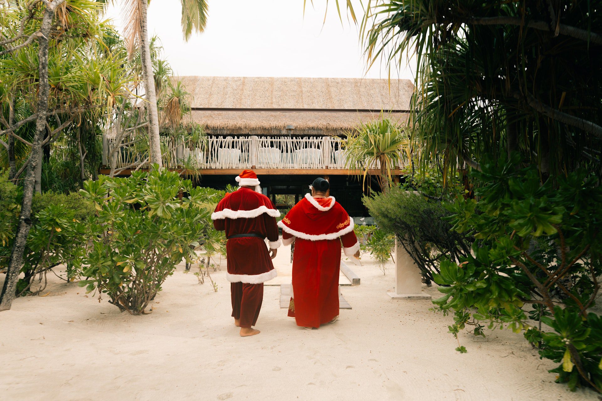 Festive Season